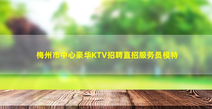 梅州市中心豪华KTV招聘直招服务员模特